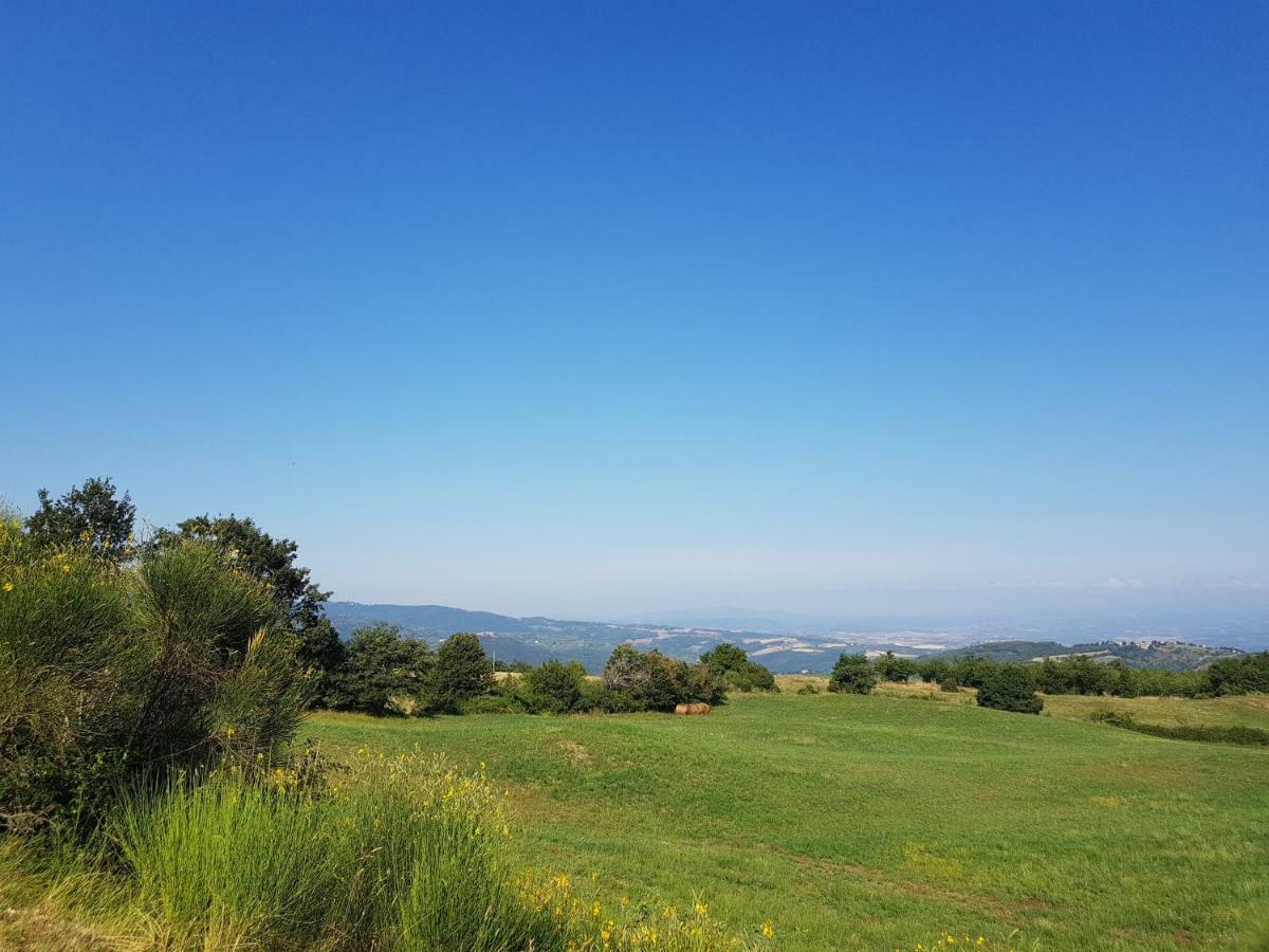 Agriturismo Le Casaline Seggiano Exterior photo